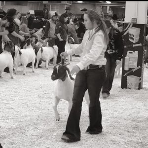 Meet your Posher, Stacy